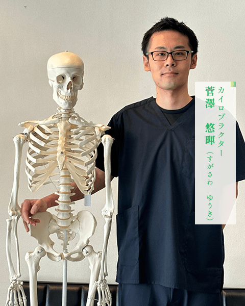 カイロプラクター　菅澤　悠暉（すがさわ　ゆうき）